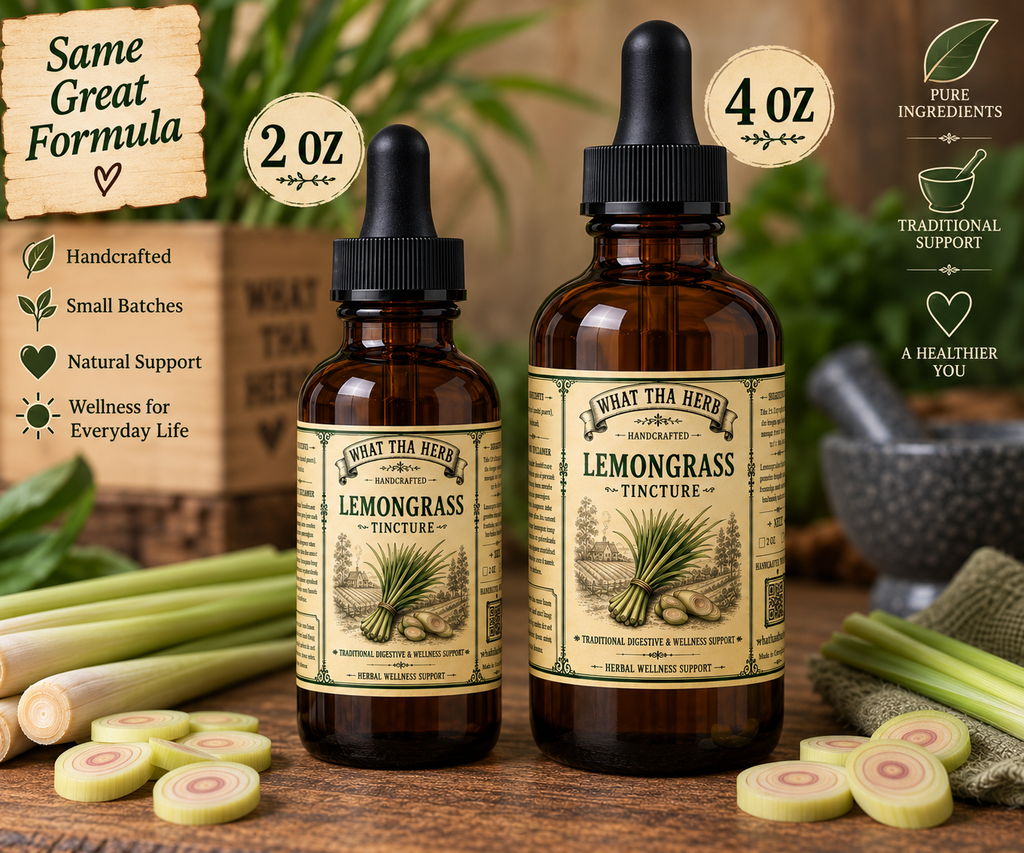 Lemongrass Tincture: Herbal Digestion, Calm & Immunity Support