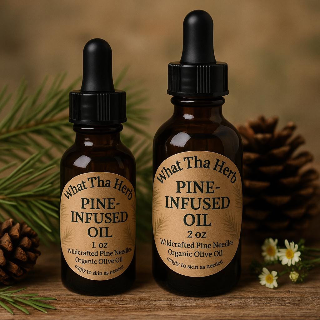 Handcrafted Pine-Infused Oil – Natural Remedy for Muscles, Skin, and Mind | What Tha Herb