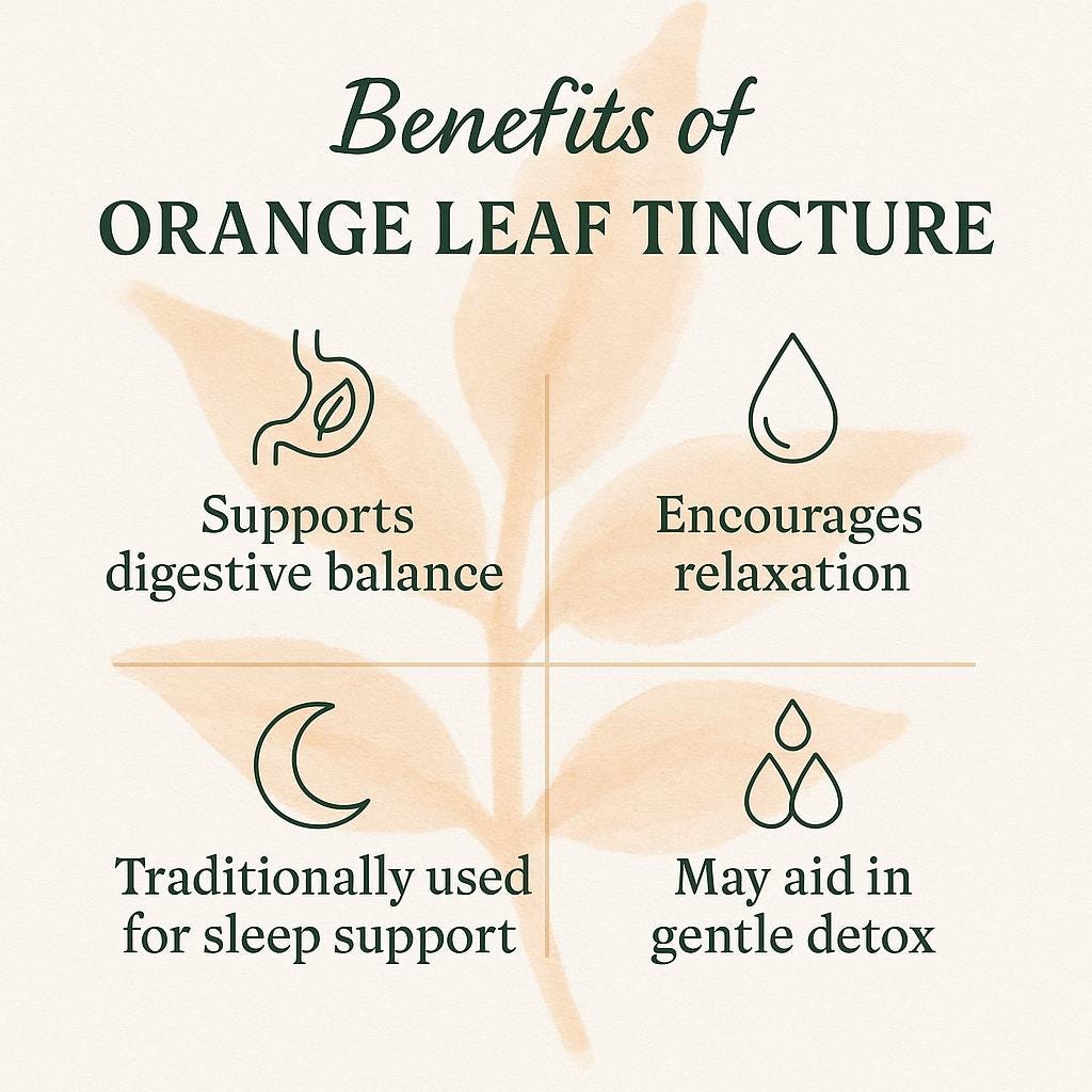 Orange Leaf Tincture – 2oz Amber Dropper Bottle