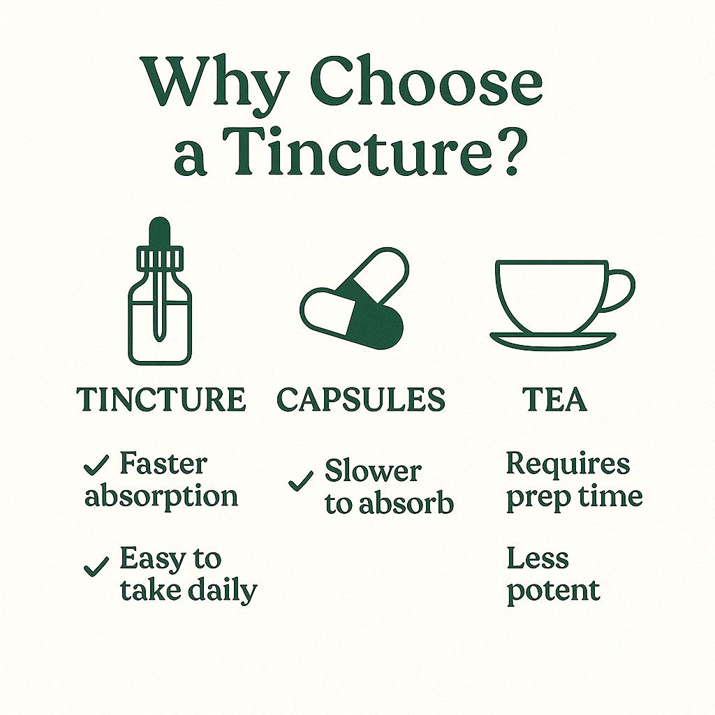Dragonfruit Herbal Tincture: Antioxidant Skin & Energy Support