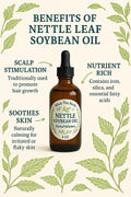 Nettle Leaf Soybean Oil | Herbal Skin & Scalp Nourishment