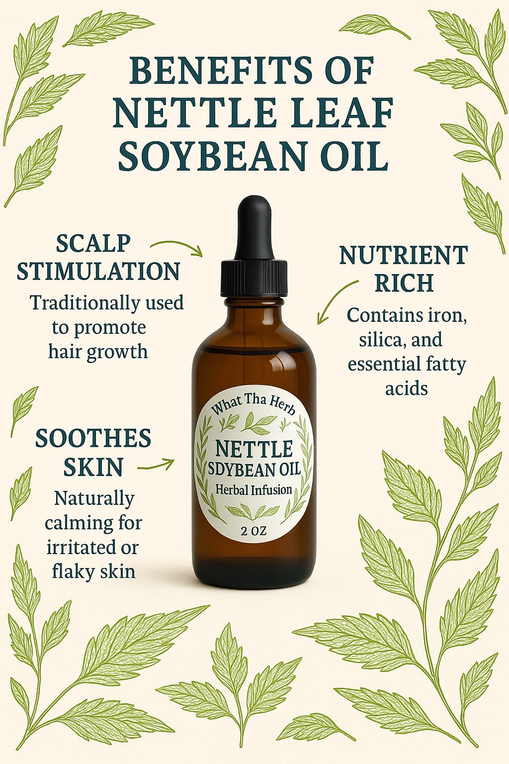 Nettle Leaf Soybean Oil | Herbal Skin & Scalp Nourishment