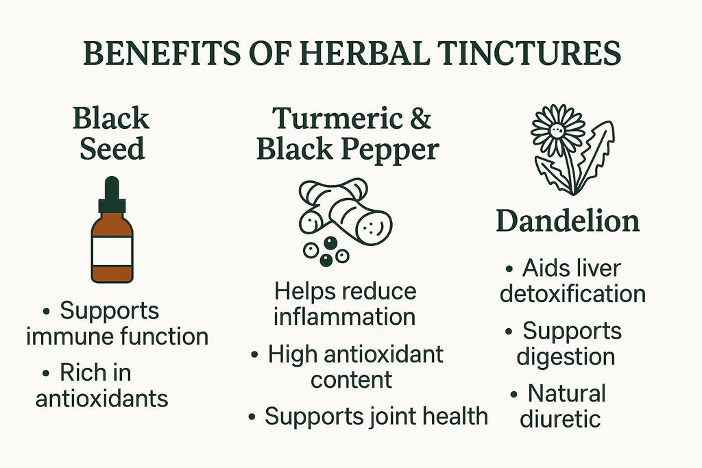 Everyday Sample Trio Herbal Tinctures | Black Seed, Turmeric & Dandelion Set
