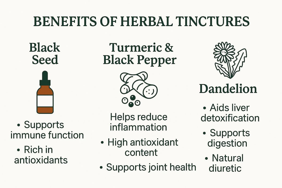Everyday Sample Trio Herbal Tinctures | Black Seed, Turmeric & Dandelion Set