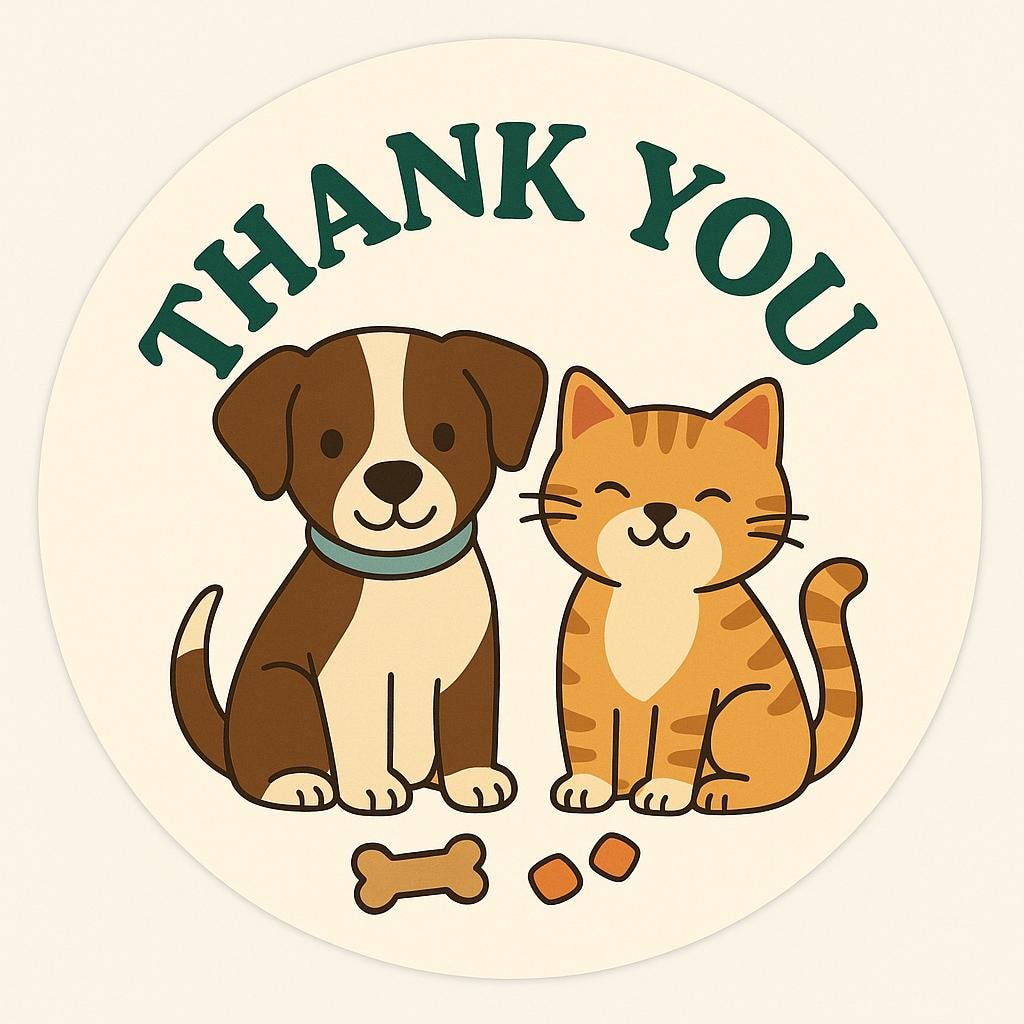 Freeze Dried Pumpkin Puffs & Or Sweet Potato Puffs | Natural Dog Cat Treats