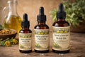 Arnica Infused Olive Oil, Small Batch Botanical Body Oil, Traditional Herbal Preparation