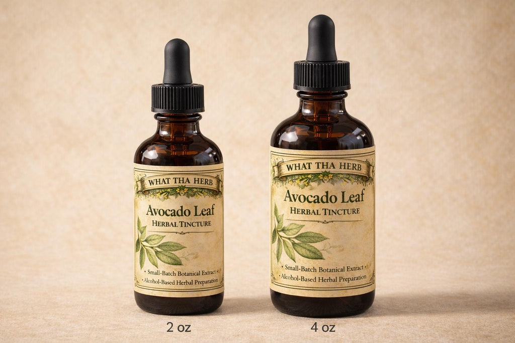 Avocado Leaf Herbal Tincture, Small Batch Botanical Extract Drops