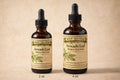 Avocado Leaf Herbal Tincture, Small Batch Botanical Extract Drops