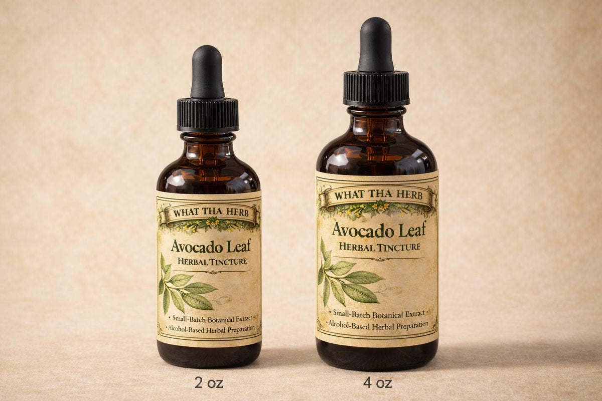 Avocado Leaf Herbal Tincture, Small Batch Botanical Extract Drops