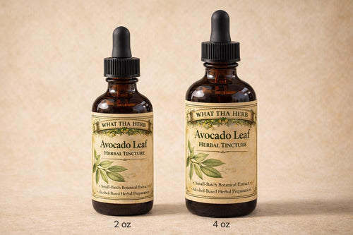 Avocado Leaf Herbal Tincture, Small Batch Botanical Extract Drops