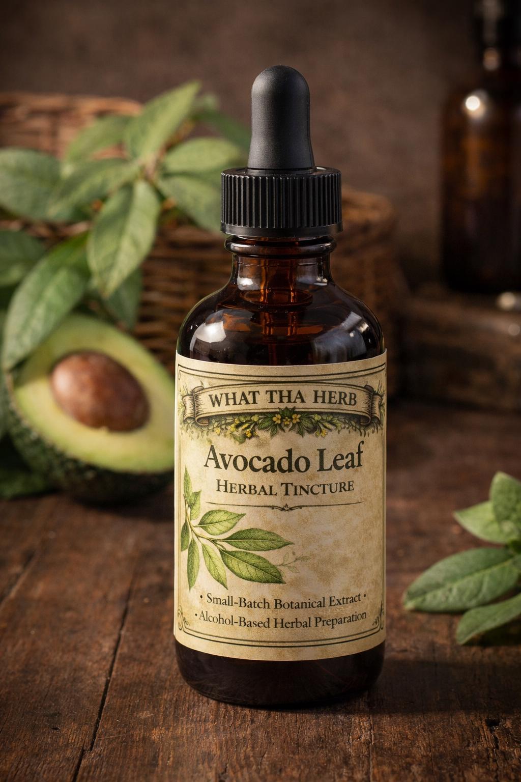 Avocado Leaf Herbal Tincture, Small Batch Botanical Extract Drops
