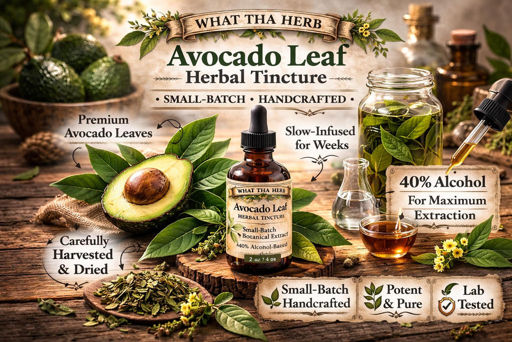 Avocado Leaf Herbal Tincture, Small Batch Botanical Extract Drops