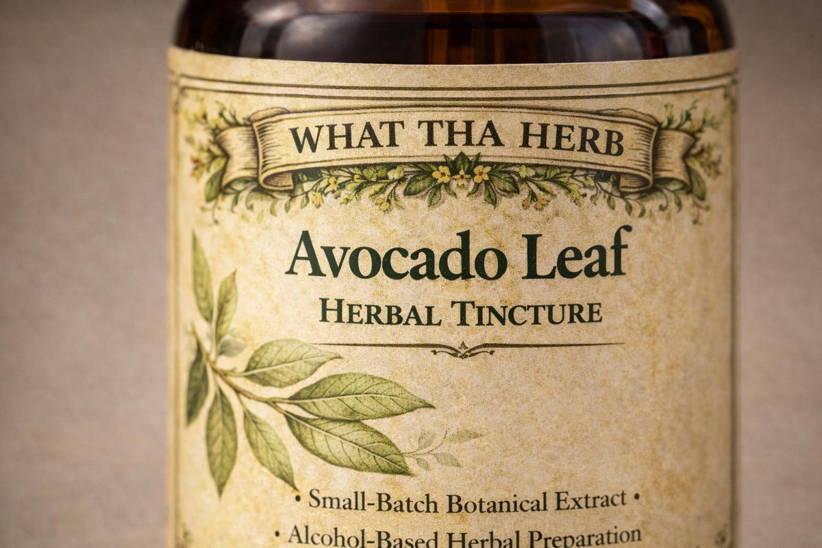 Avocado Leaf Herbal Tincture, Small Batch Botanical Extract Drops