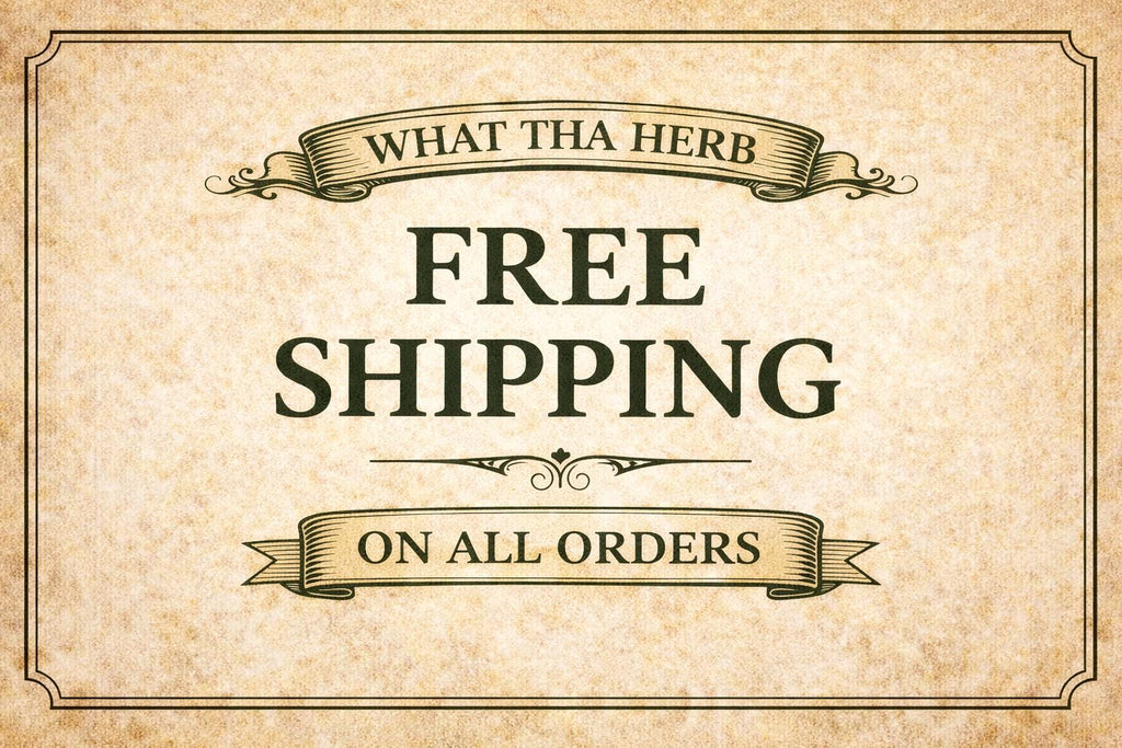 Yarrow Tincture | Alcohol-Based Botanical Extract | Small Batch Herbal Preparation