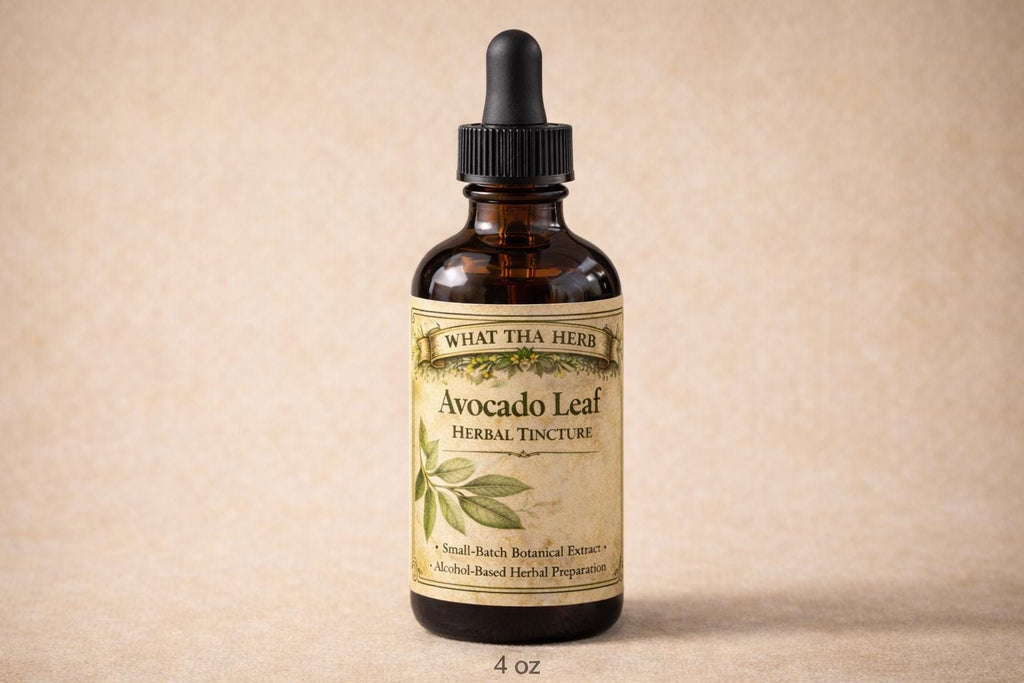 Avocado Leaf Herbal Tincture, Small Batch Botanical Extract Drops
