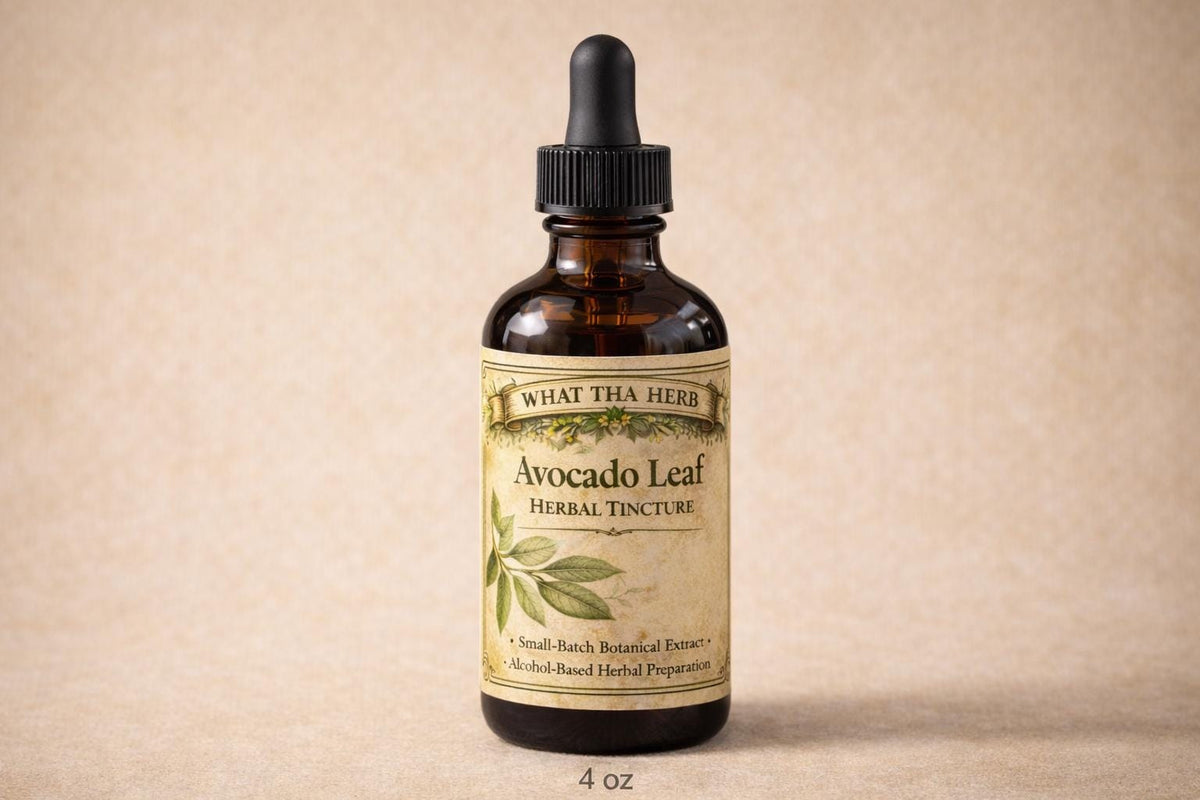 Avocado Leaf Herbal Tincture, Small Batch Botanical Extract Drops