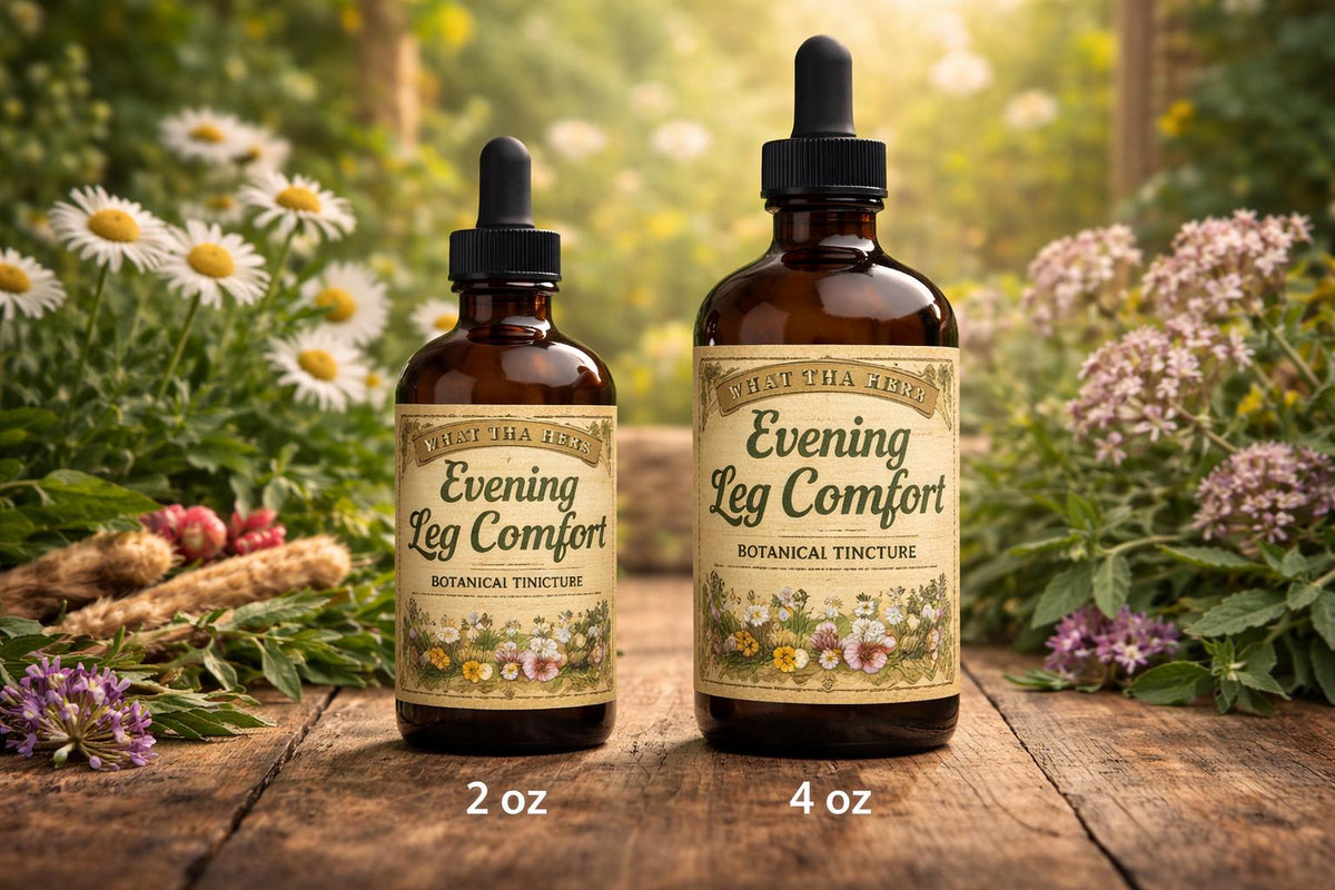 Evening Leg Comfort Tincture | Calming Herbal Blend for Relaxation & Bedtime Routine