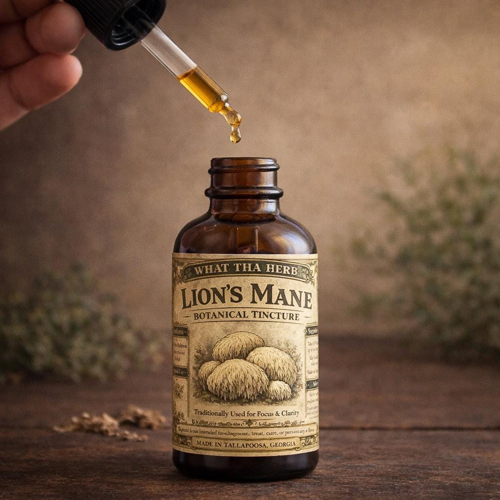 Lion’s Mane Tincture