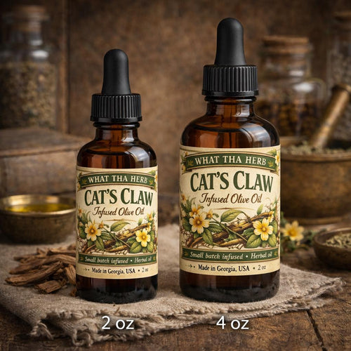 Cat's Claw Infused Olive Oil | Herbal Skin Moisturizer, Small Batch Botanical Blend