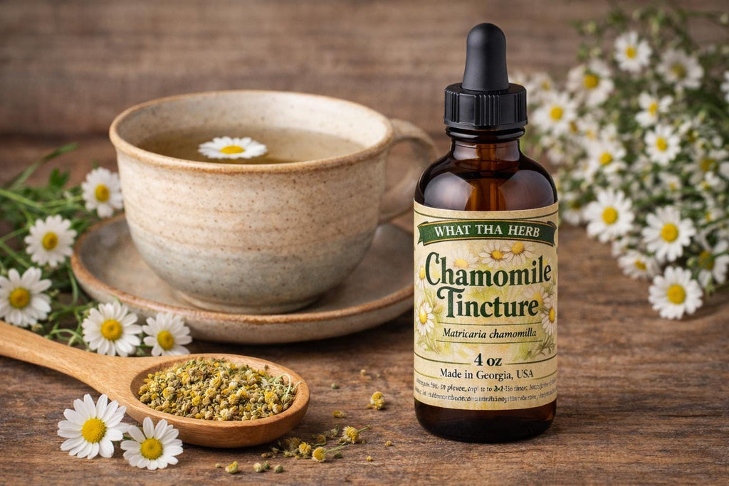 Chamomile Tincture Extract | Botanical Liquid Supplement