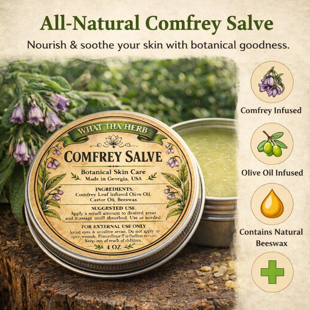Comfrey Salve – Herbal Healing Balm | Natural Skin Care Ointment