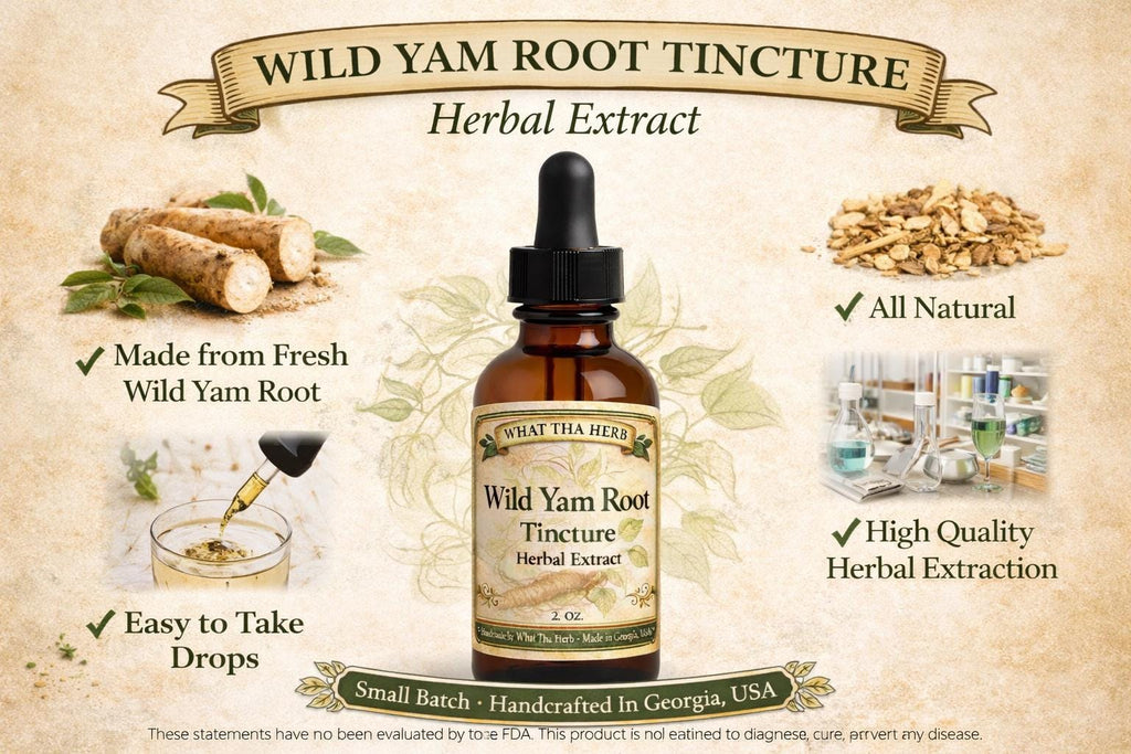 Wild Yam Root Tincture, Dioscorea Villosa Herbal Extract, Alcohol Botanical, Traditional Preparation