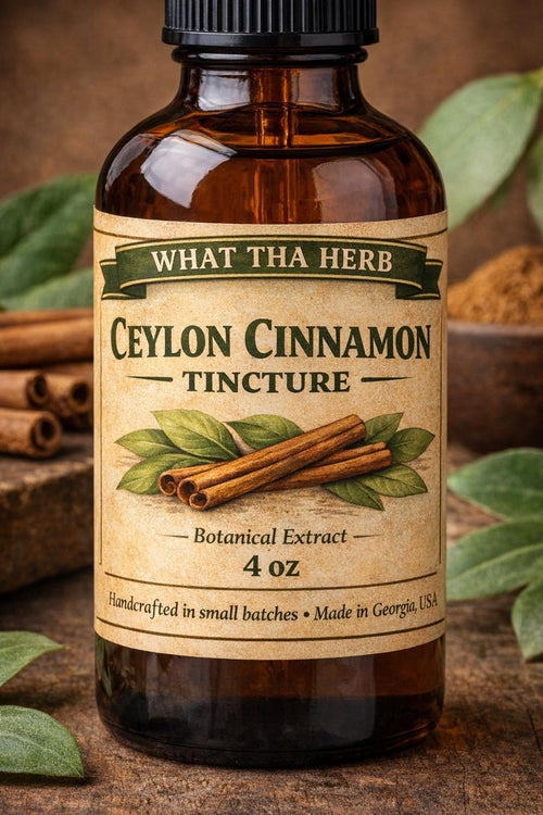 Ceylon Cinnamon Tincture | Alcohol-Based Herbal Extract | Botanical Drops