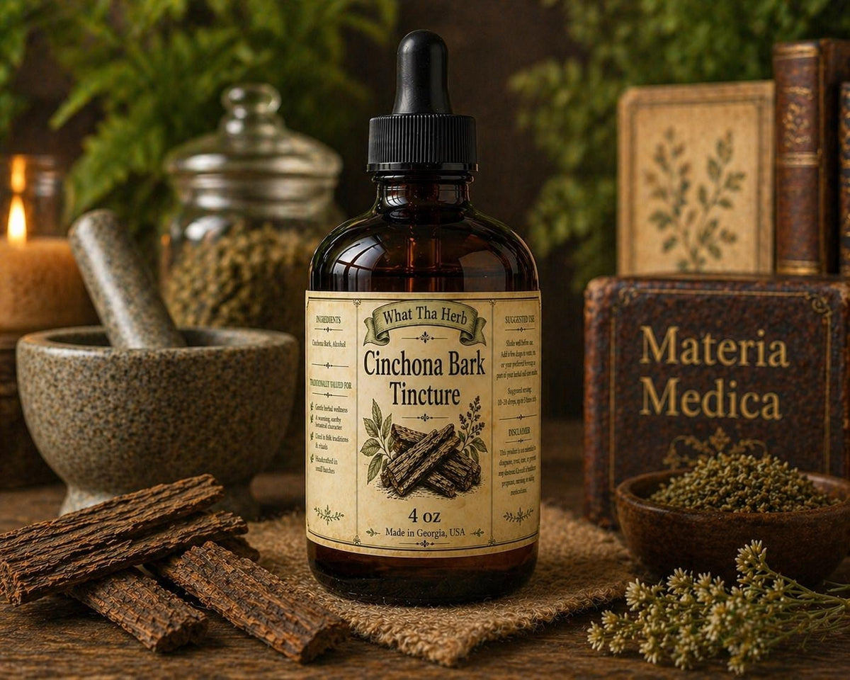Cinchona Bark Tincture | Herbal Extract | Botanical Wellness | 2 oz or 4 oz Dropper Bottle