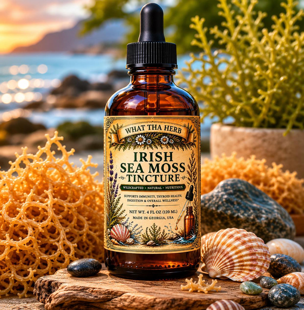 Irish Sea Moss Tincture | Wildcrafted Sea Moss Drops | Mineral Rich Herbal Extract | Irish Moss Herbal Support