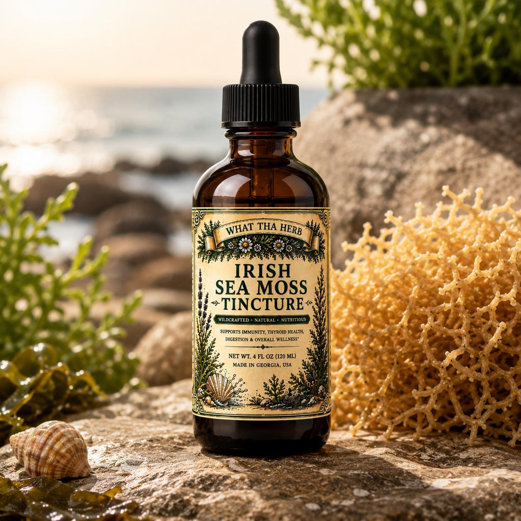 Irish Sea Moss Tincture | Wildcrafted Sea Moss Drops | Mineral Rich Herbal Extract | Irish Moss Herbal Support