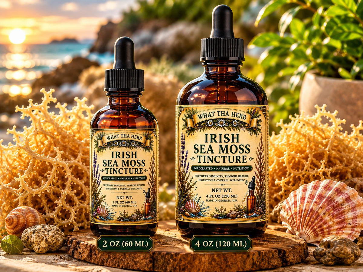Irish Sea Moss Tincture | Wildcrafted Sea Moss Drops | Mineral Rich Herbal Extract | Irish Moss Herbal Support