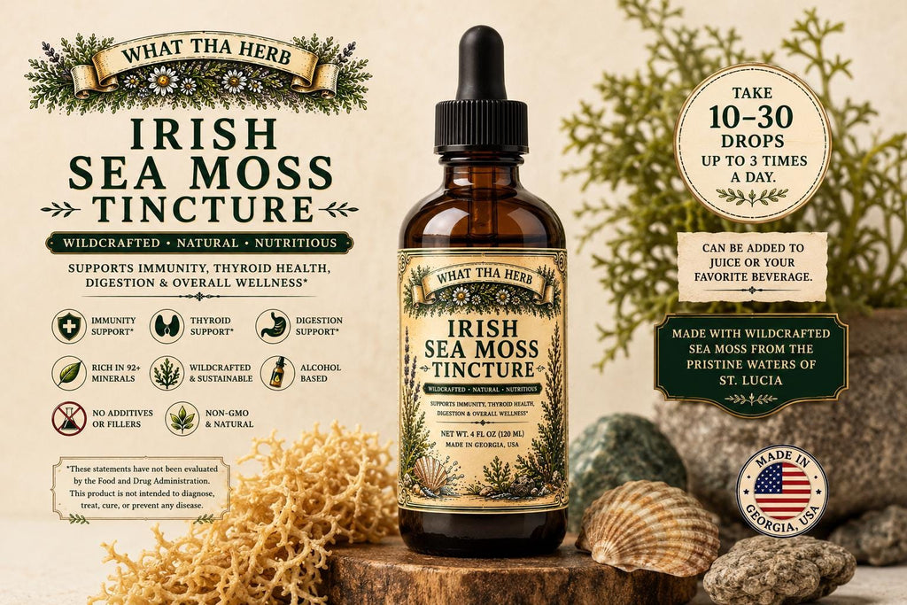 Irish Sea Moss Tincture | Wildcrafted Sea Moss Drops | Mineral Rich Herbal Extract | Irish Moss Herbal Support