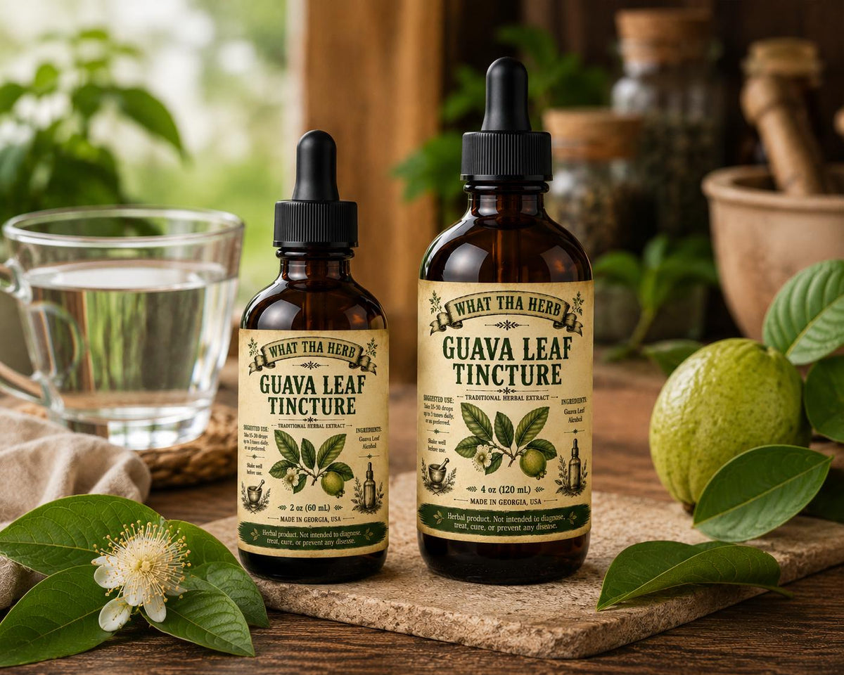 Guava Leaf Tincture | Herbal Extract | Digestive & Immune Support