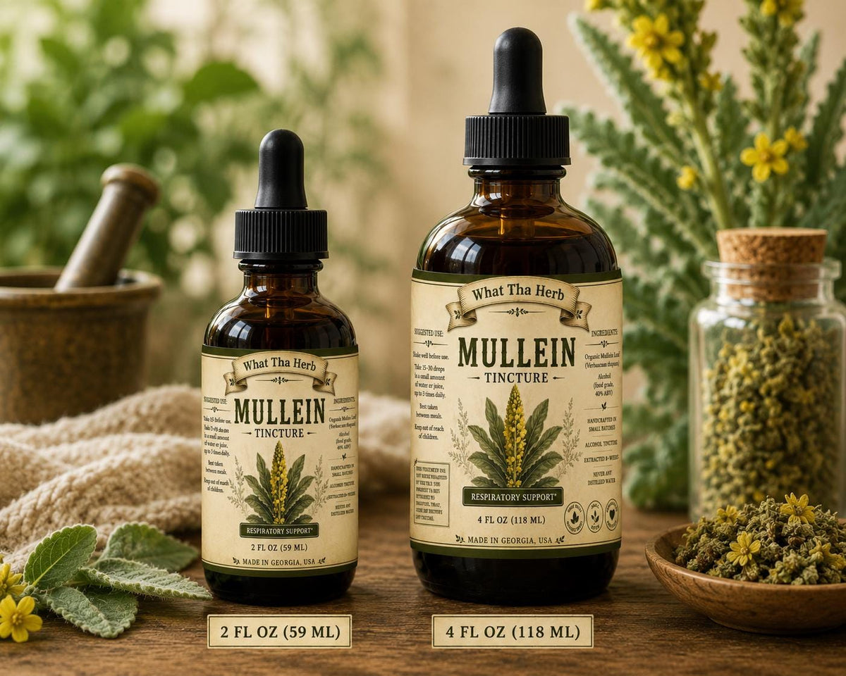 Mullein Tincture: Herbal Lung & Throat Support - Small Batch
