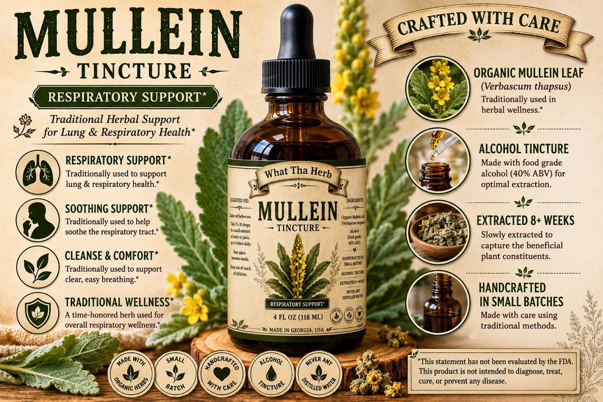 Mullein Tincture: Herbal Lung & Throat Support - Small Batch