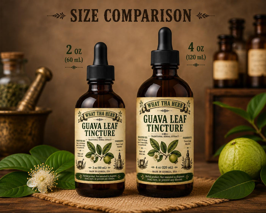 Guava Leaf Tincture | Herbal Extract | Digestive & Immune Support
