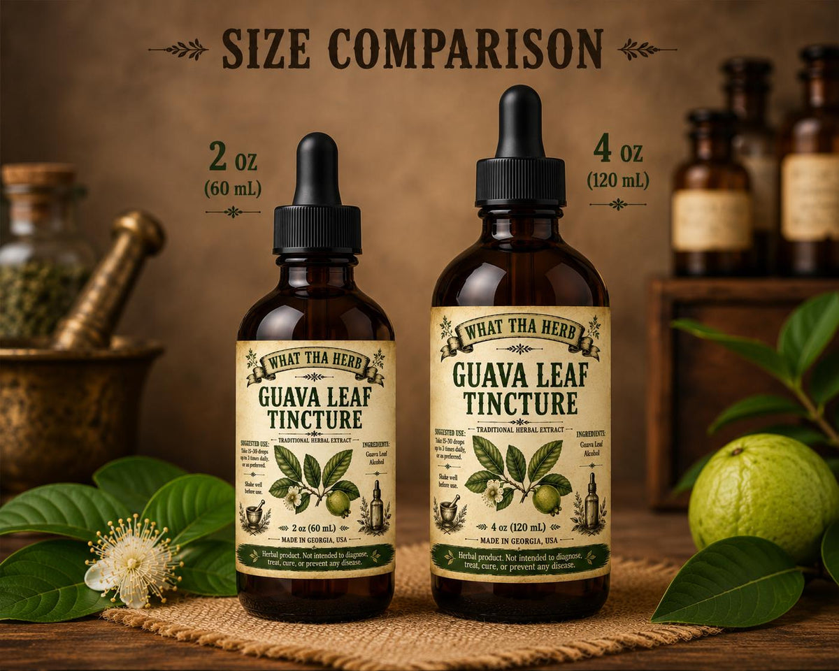Guava Leaf Tincture | Herbal Extract | Digestive & Immune Support