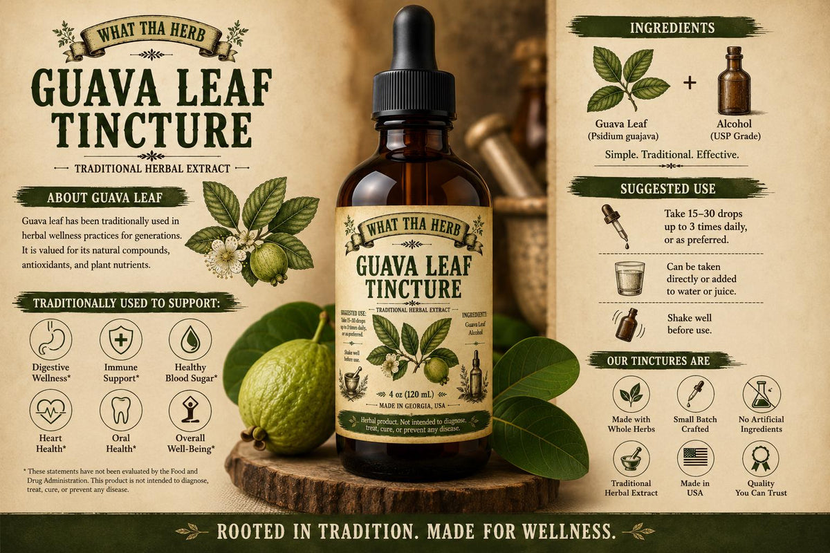 Guava Leaf Tincture | Herbal Extract | Digestive & Immune Support