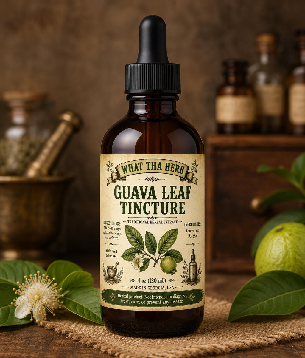 Guava Leaf Tincture | Herbal Extract | Digestive & Immune Support