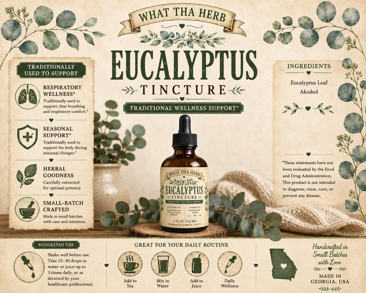 Eucalyptus Tincture | Organic Eucalyptus Leaf Extract | Traditional Respiratory & Seasonal Wellness Support
