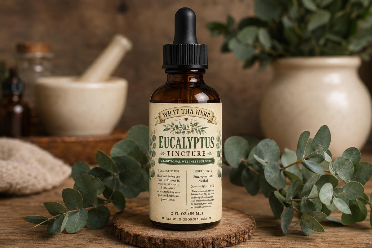 Eucalyptus Tincture | Organic Eucalyptus Leaf Extract | Traditional Respiratory & Seasonal Wellness Support