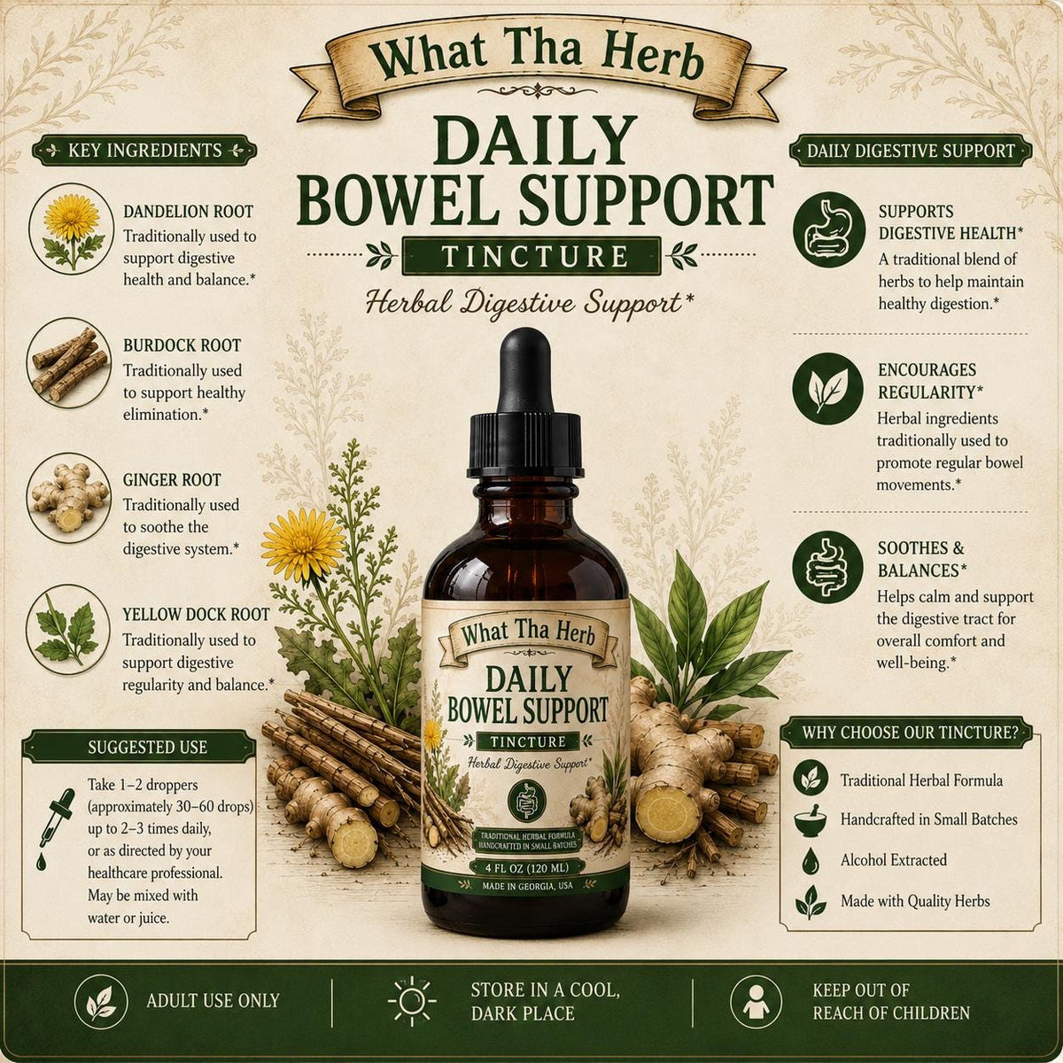 Daily Bowel Support Tincture | Herbal Digestive Support