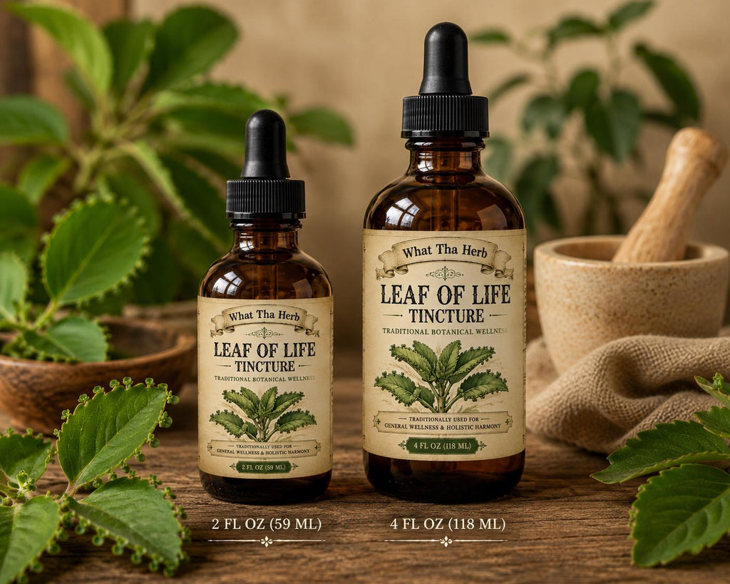 Organic Leaf of Life Tincture | Herbal Extract | Traditional Botanical Wellness