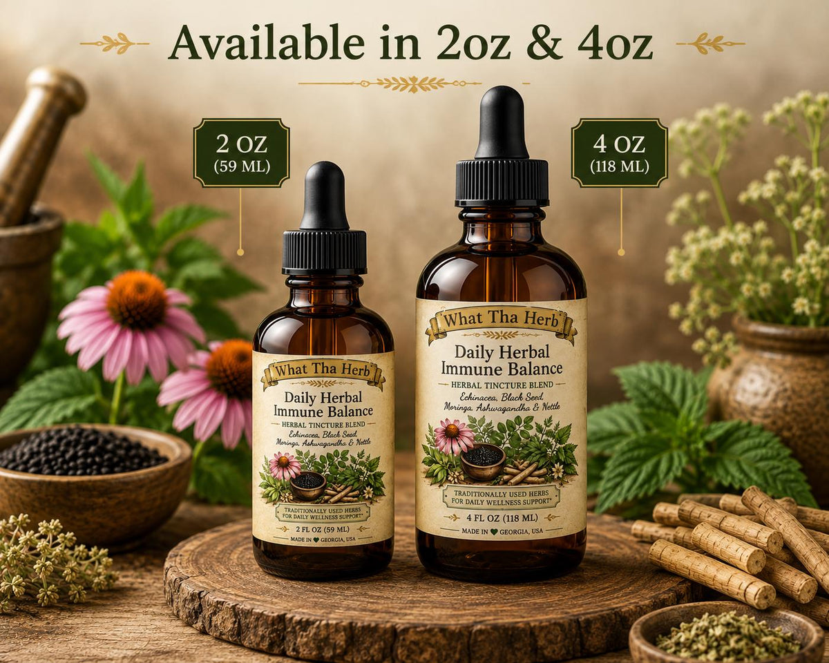 Daily Herbal Immune Balance Tincture | Nettle, Moringa, Ashwagandha, Black Seed Blend