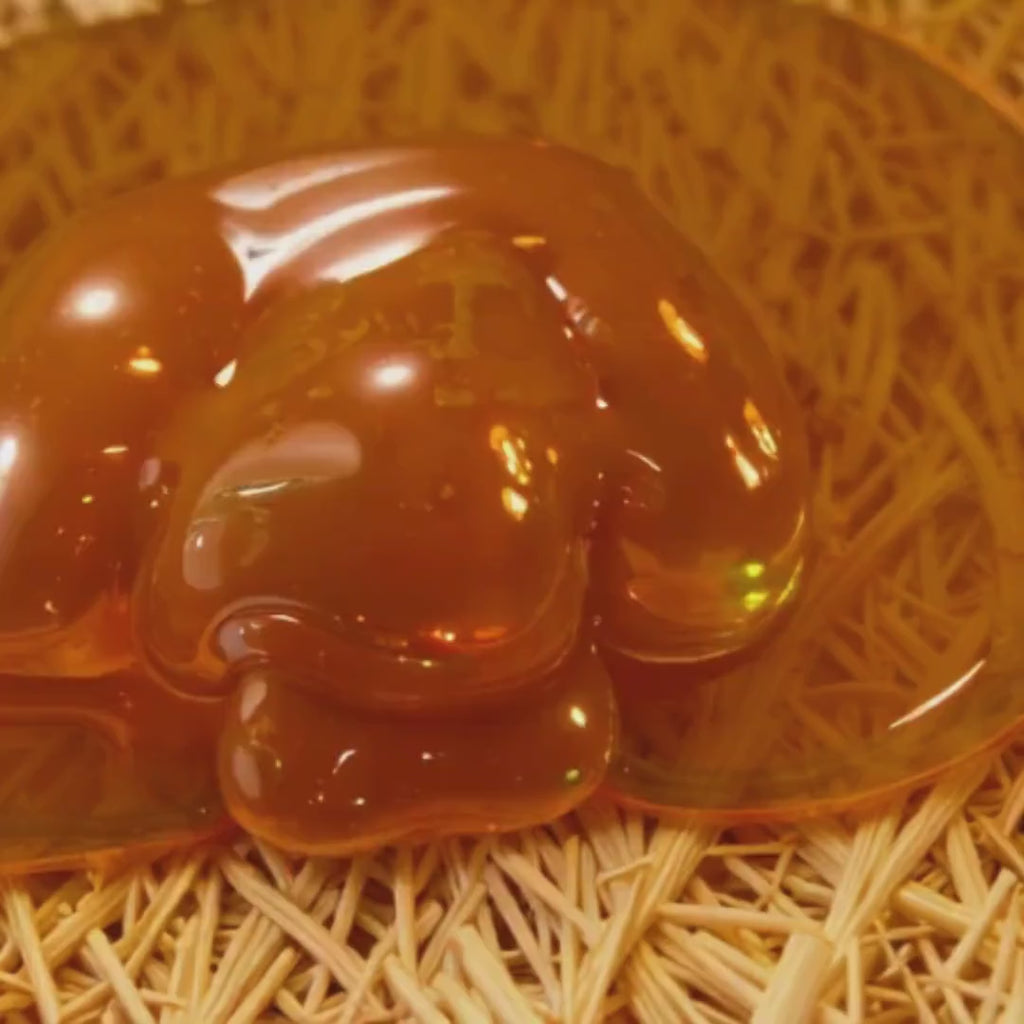 Black Seed Honey Blend | Raw Unfiltered Honey
