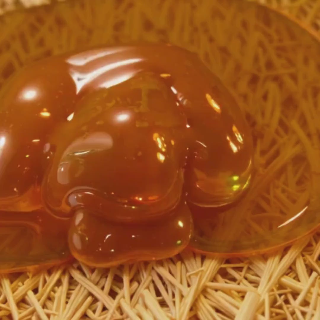 Black Seed Honey Blend | Raw Unfiltered Honey