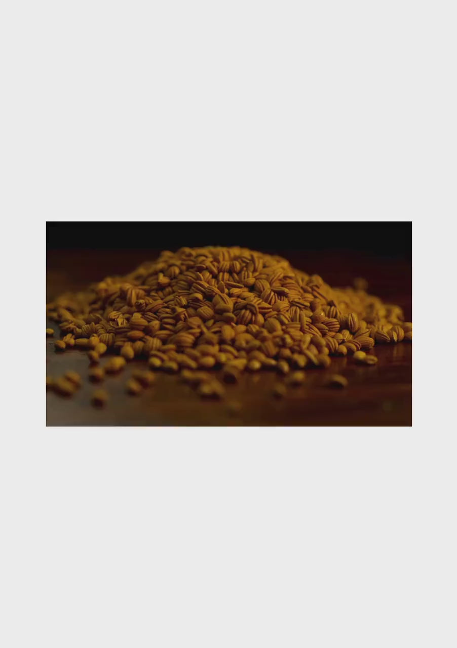 Fenugreek Seed Tincture – 2 oz & 4 oz Amber Glass Dropper Bottle