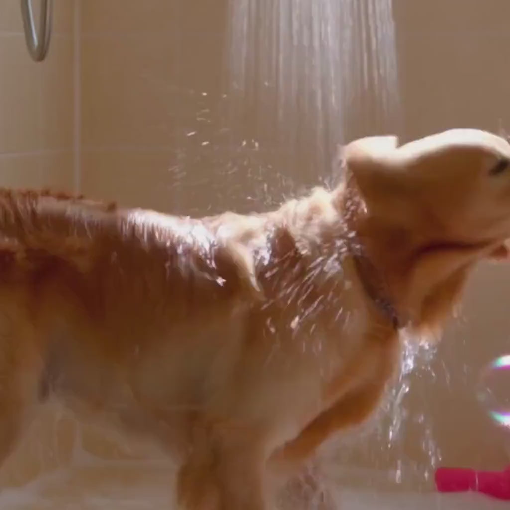 Shed Relief Coat Drops for Dogs & Cats
