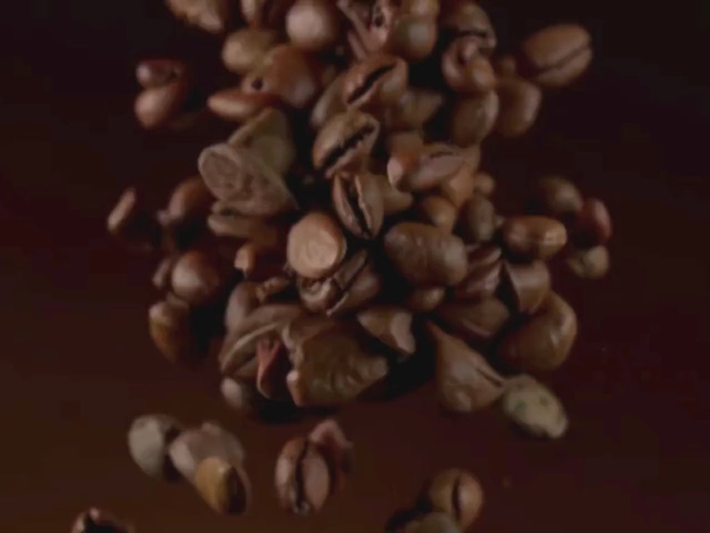 Cacao Bourbon Drops | Small Batch Chocolate Botanical Extract