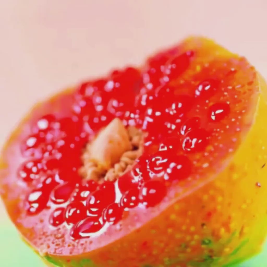 Guava Leaf Tincture | Herbal Extract | Digestive & Immune Support